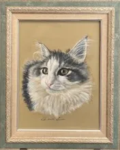 cat