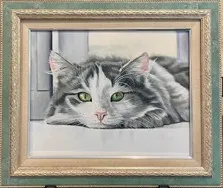 cat