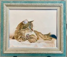cat